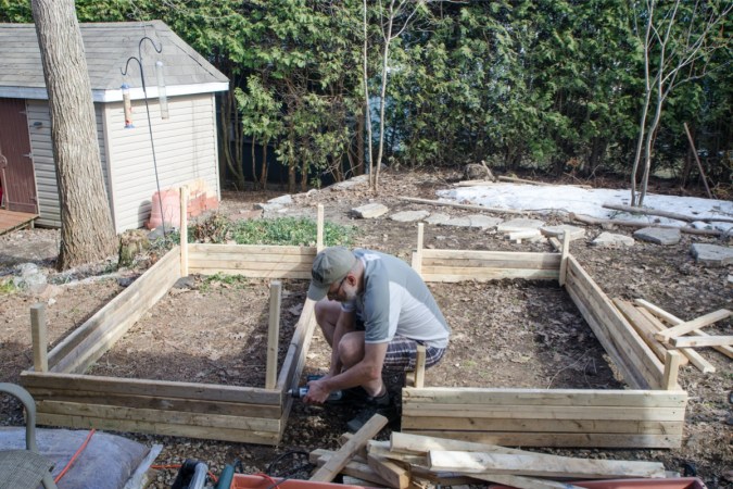 The Best Wood for Raised Garden Beds