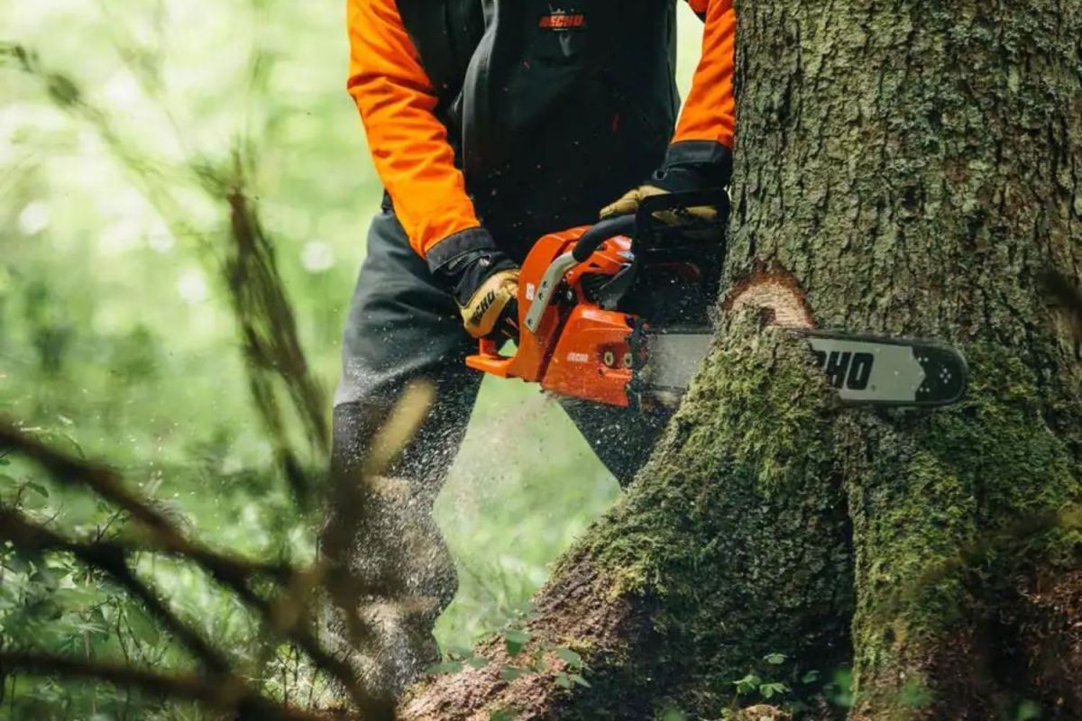 The Best Echo Chainsaws Options