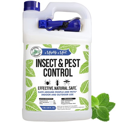 The Best Stink Bug Repellents Option: Mighty Mint Insect and Pest Control Peppermint Oil