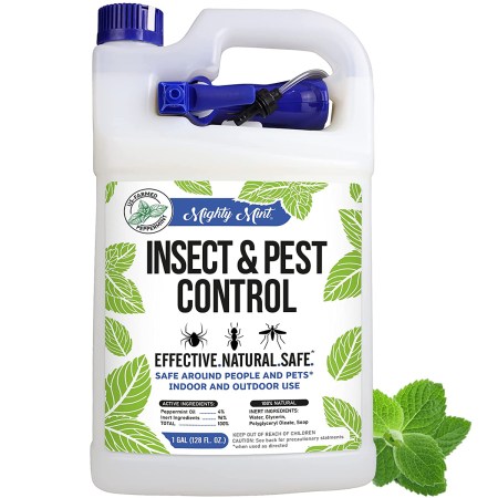 Mighty Mint Insect and Pest Control Peppermint Oil 