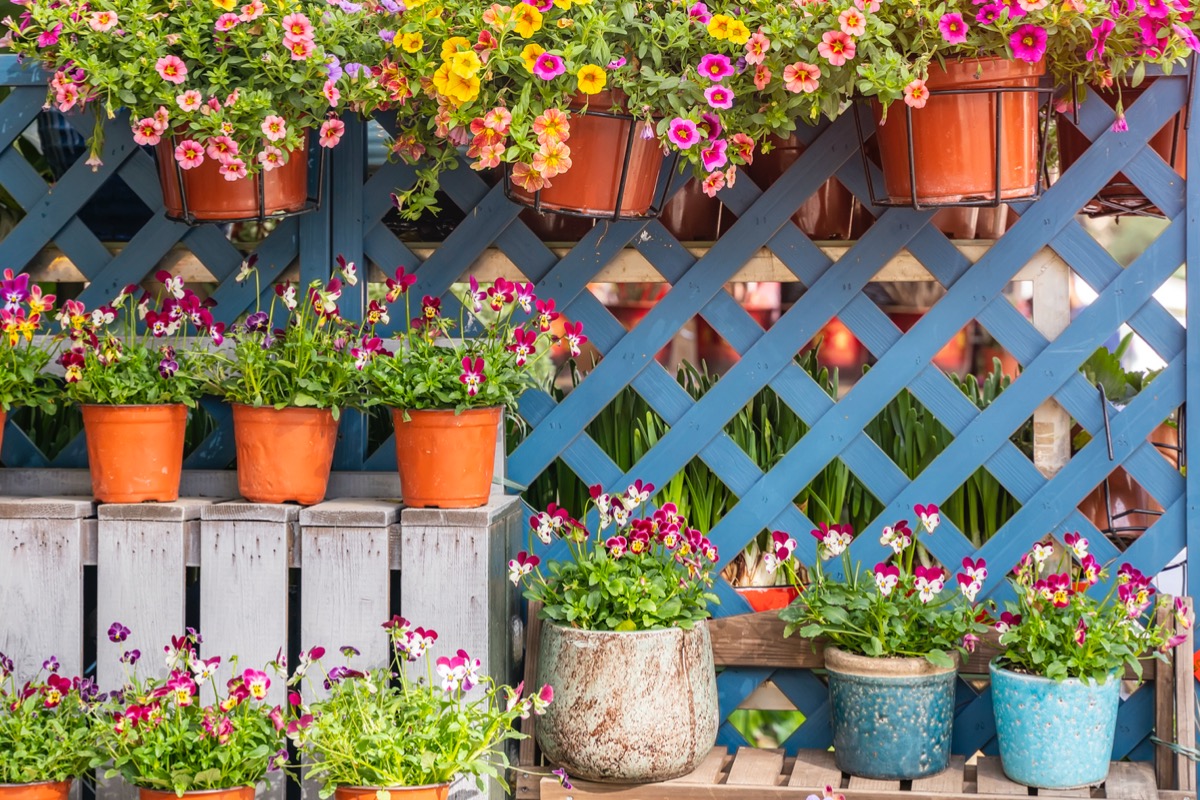 side yard