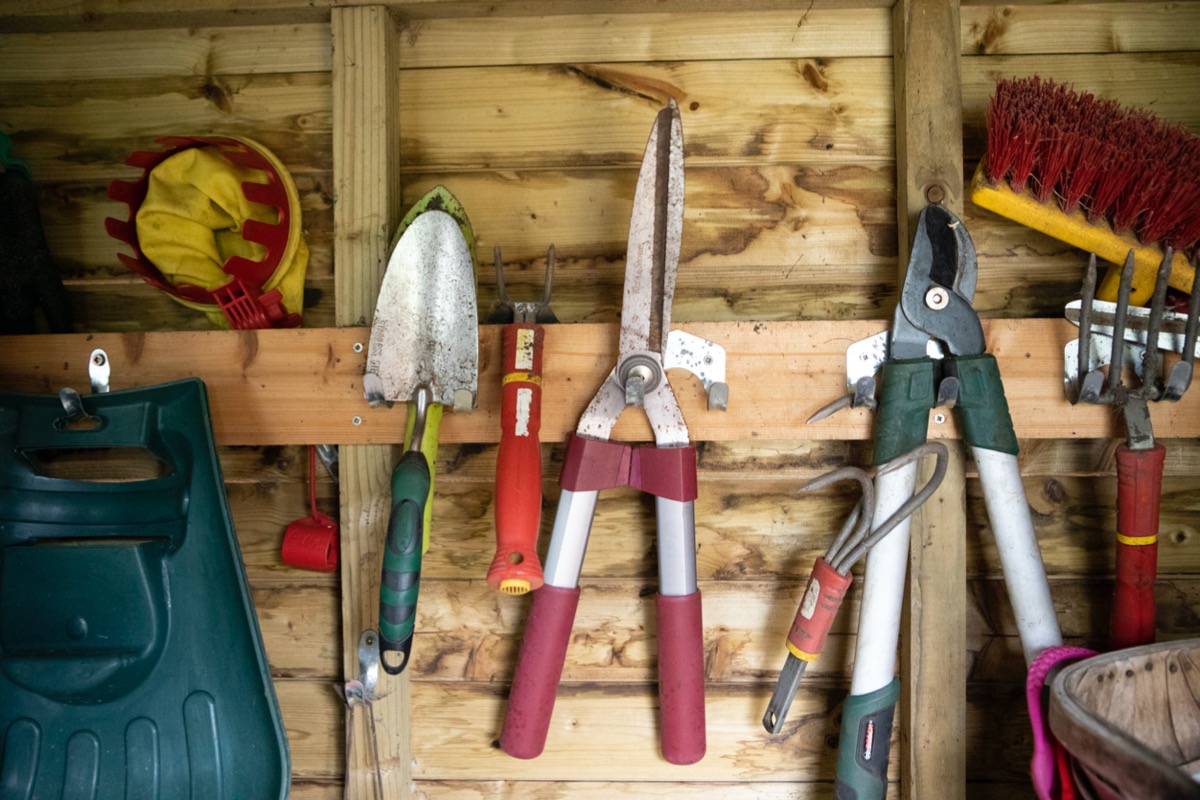 A trowel, loppers, and other garden tools hanging on the wall of a shed.