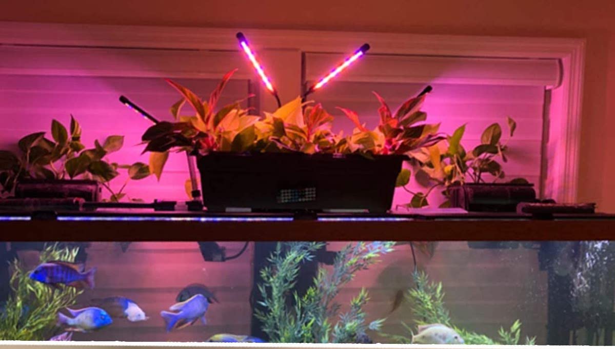grow light