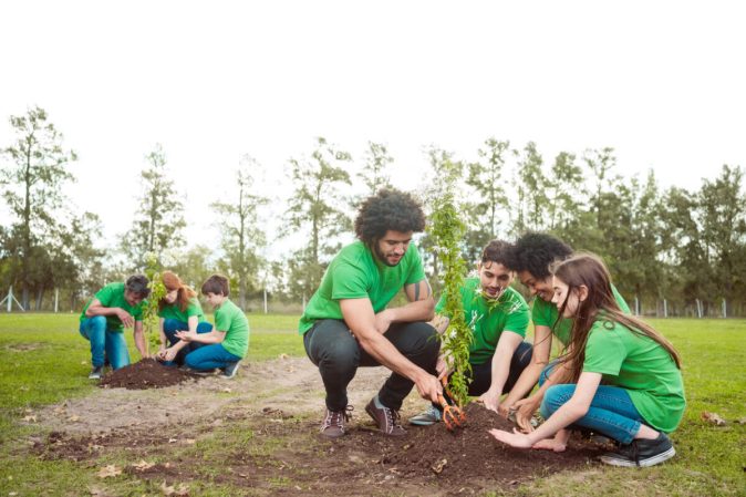 What Is Tree Equity and How Can You Help Improve It in Your Community?