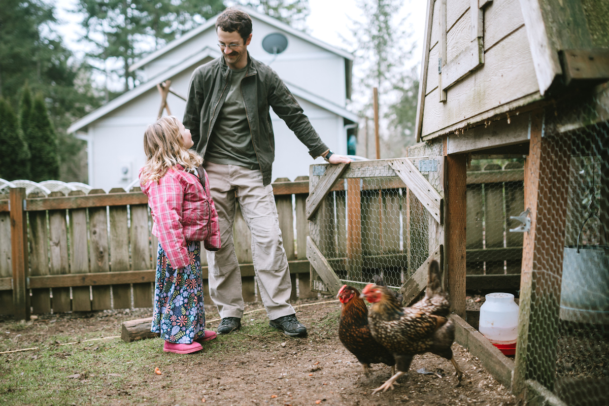 avian influenza bird flu affecting chicken coops