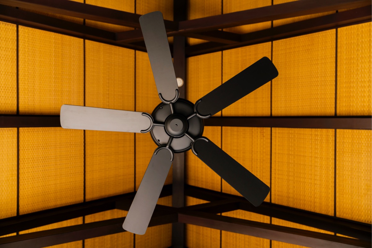 install ceiling fans