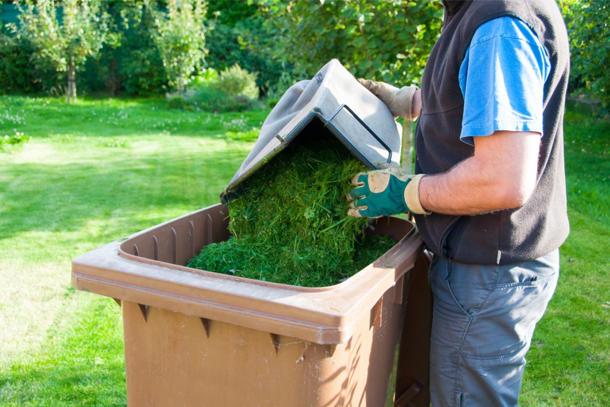 lawn care