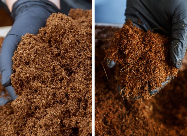 Peat Moss vs. Coco Coir: What’s the Difference Between These Go-To Gardening Supplies?