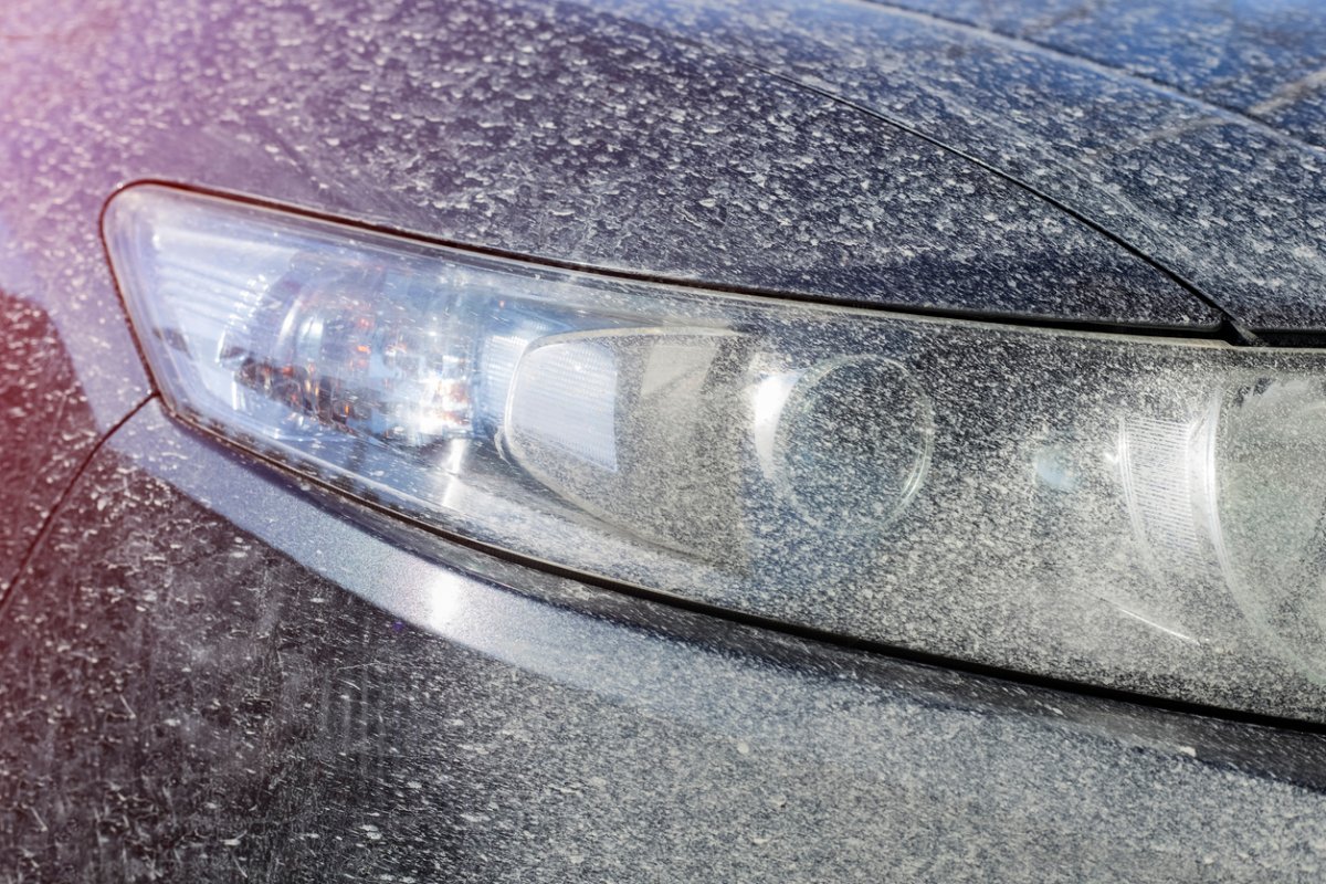 Close up view of one car headlight on a dusty car.
