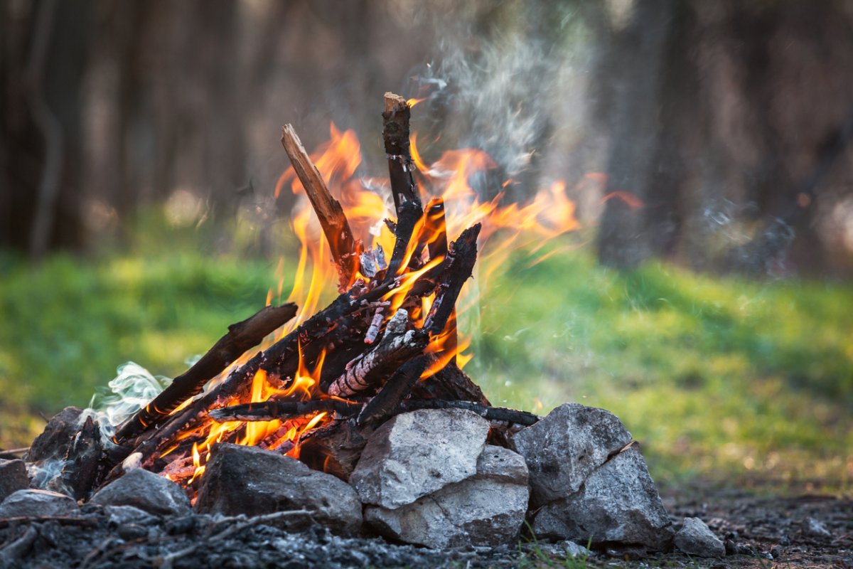 Campfire burning with woods in the background.