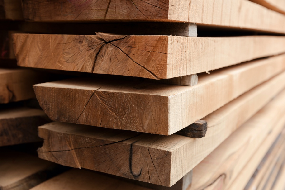 tree removal wood use
