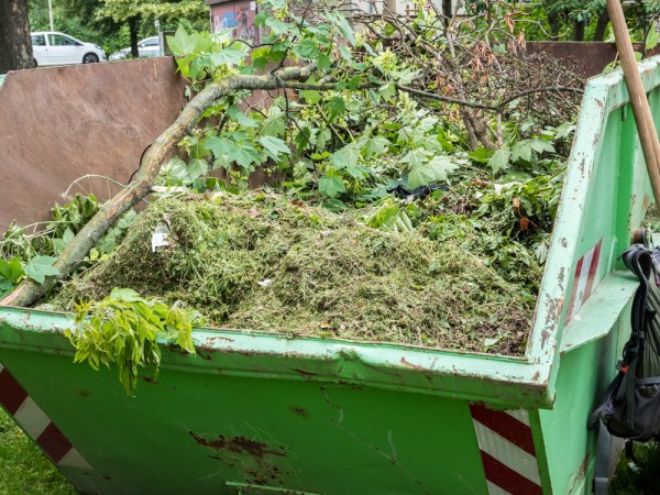 Everything to Know Before Hiring for Yard Waste Removal
