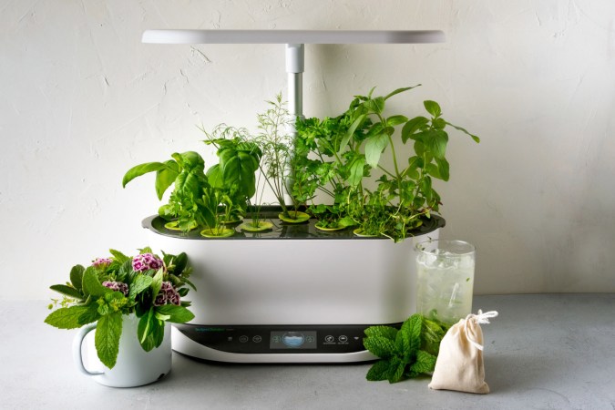 11 Things You Didn’t Know You Can Grow in an AeroGarden