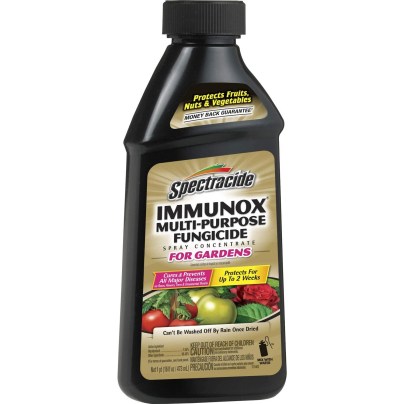 The Best Lawn Fungicides Option: Spectracide Immunox Multi-Purpose Fungicide