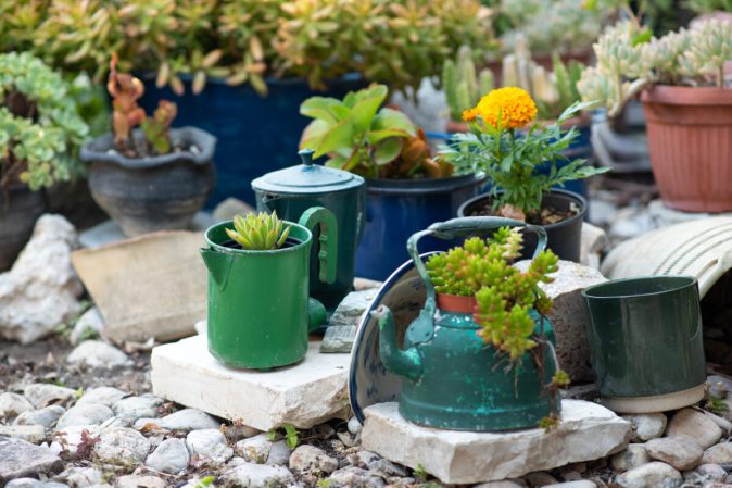 10 Sustainable Gardening Trends to Try