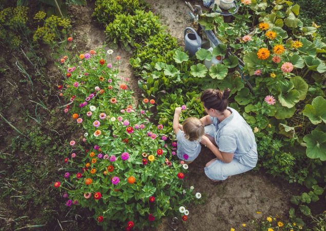 What Is Permaculture and How Can I Use It in My Home Garden?