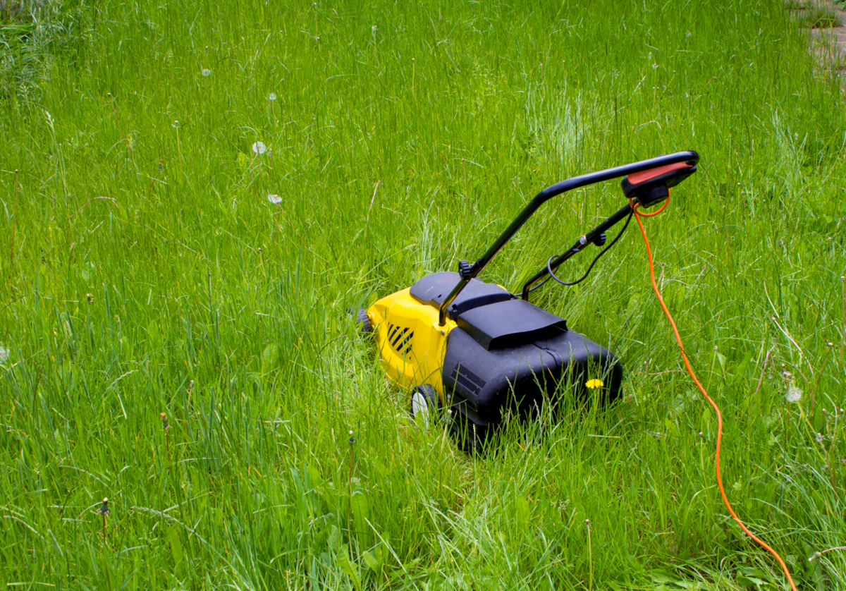 Mowing new grass best sale