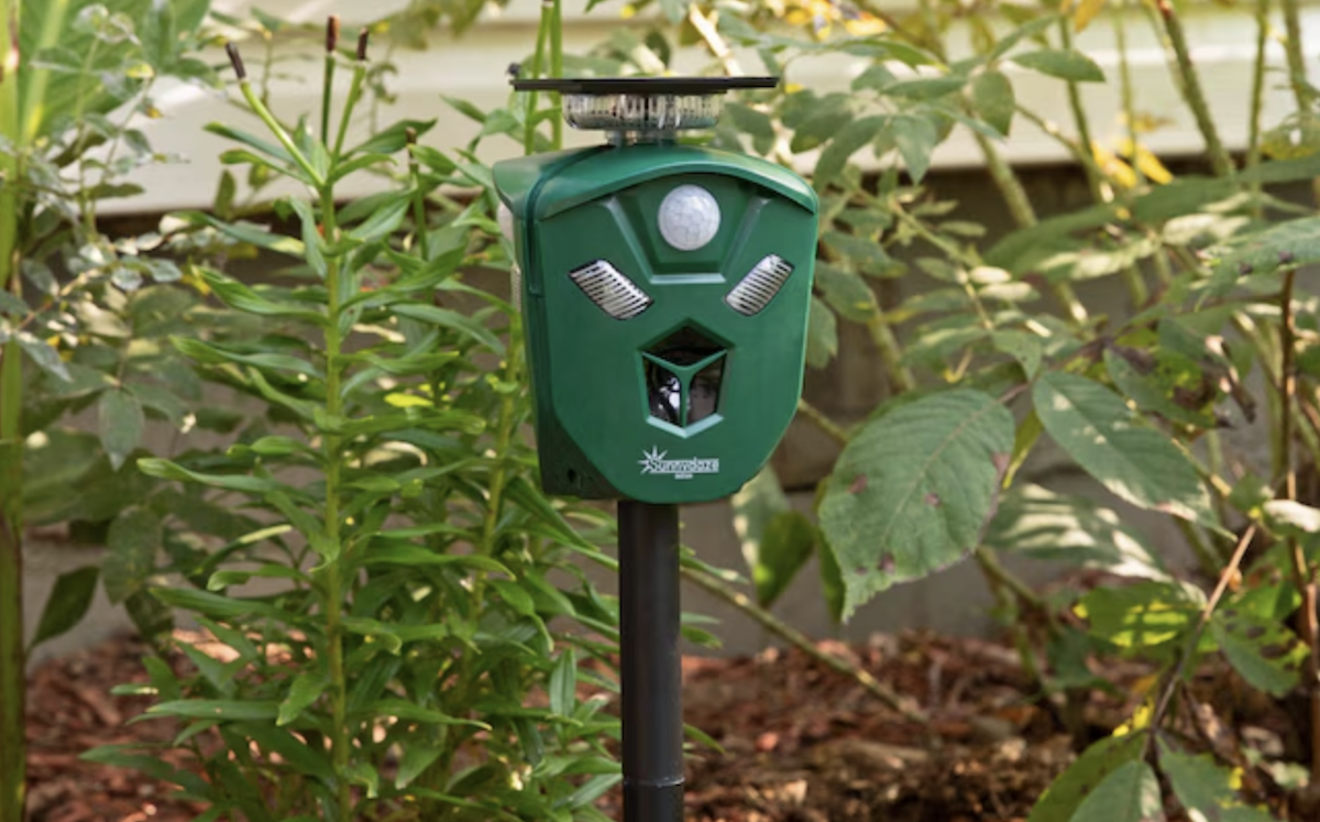 A green ultrasonic pest repellant stands in a garden bed with mulch.