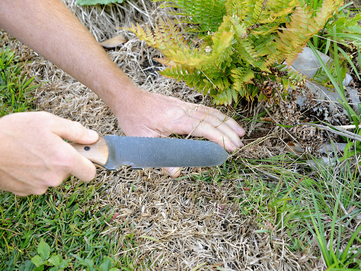 A person using the best hori hori knife option to dig at the roots of an outdoor plant.