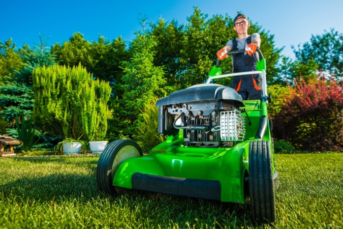 11 Things You Should Look Out for When Mowing the Lawn