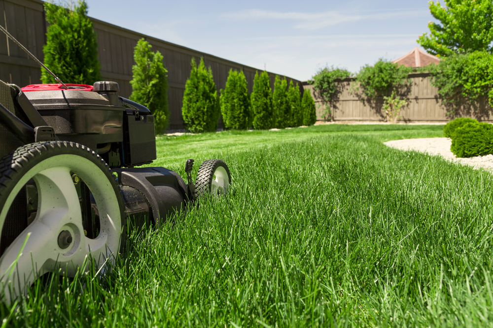 What Is the Average Cost to Mow a Lawn? (2023 Data) Bob Vila