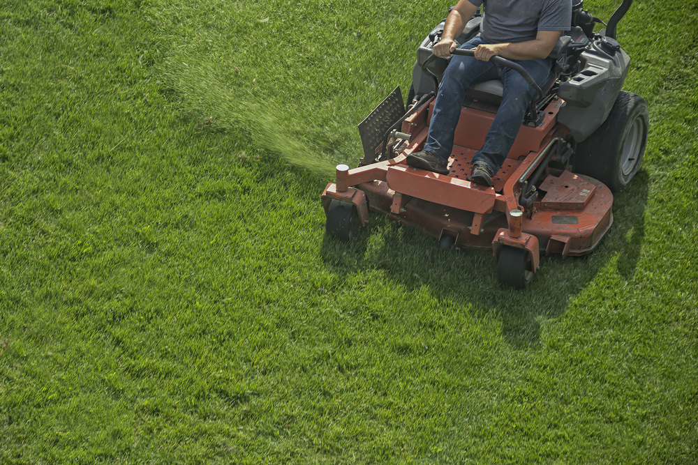 average lawn mowing cost
