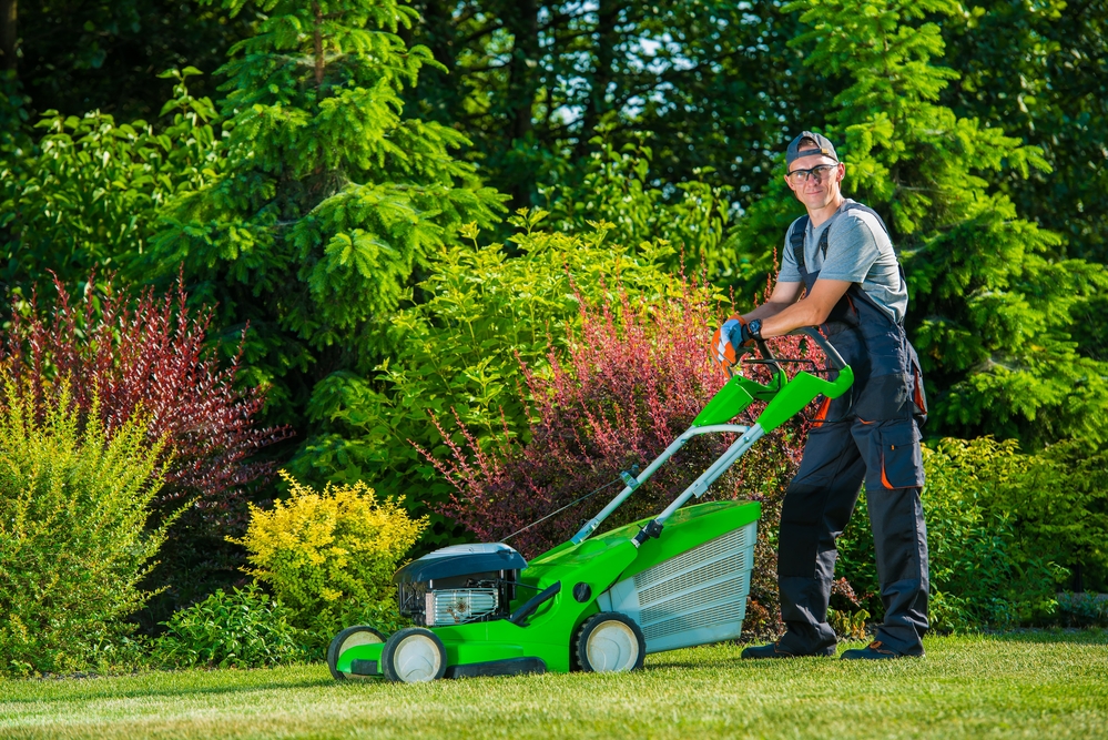 average lawn mowing cost