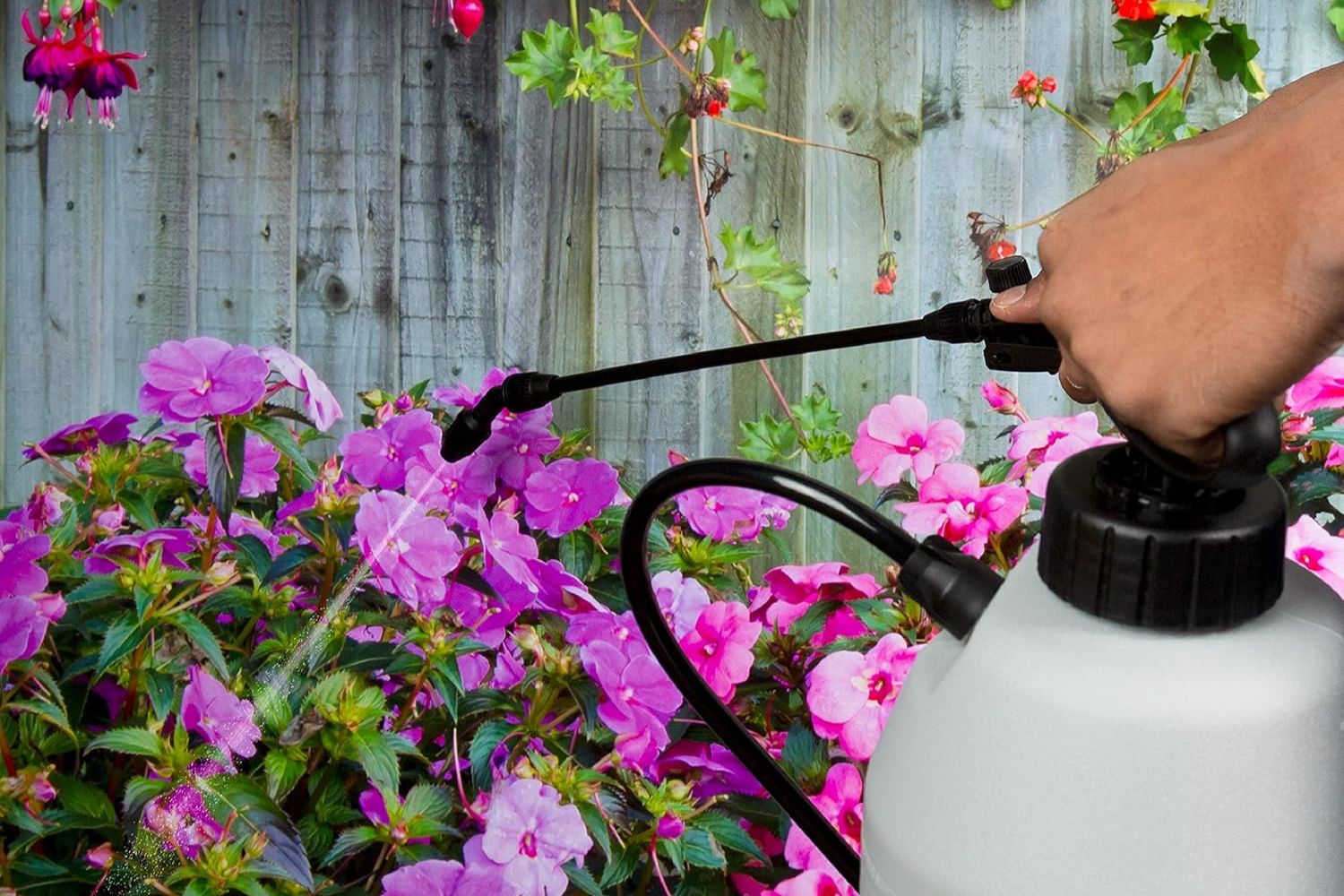 a person spraying with one of the best lawn fungicides