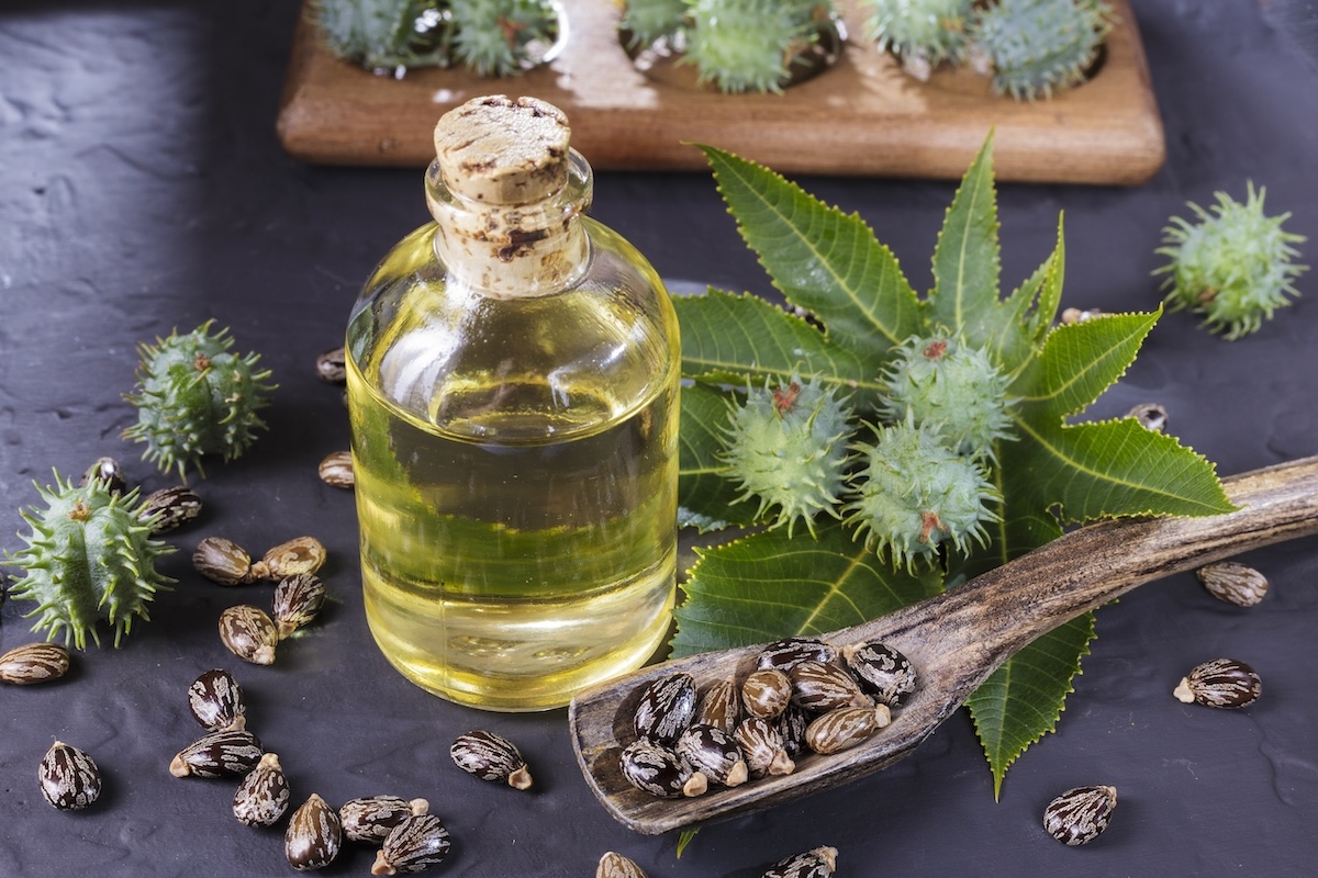 A vial of castor oil sits next to beans and plants.