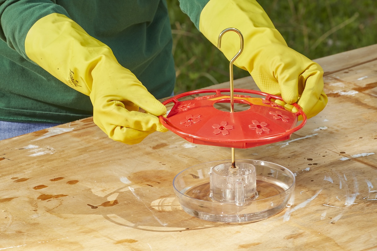 Woman wearing rubber gloves disassembles a hummingbird feeder.