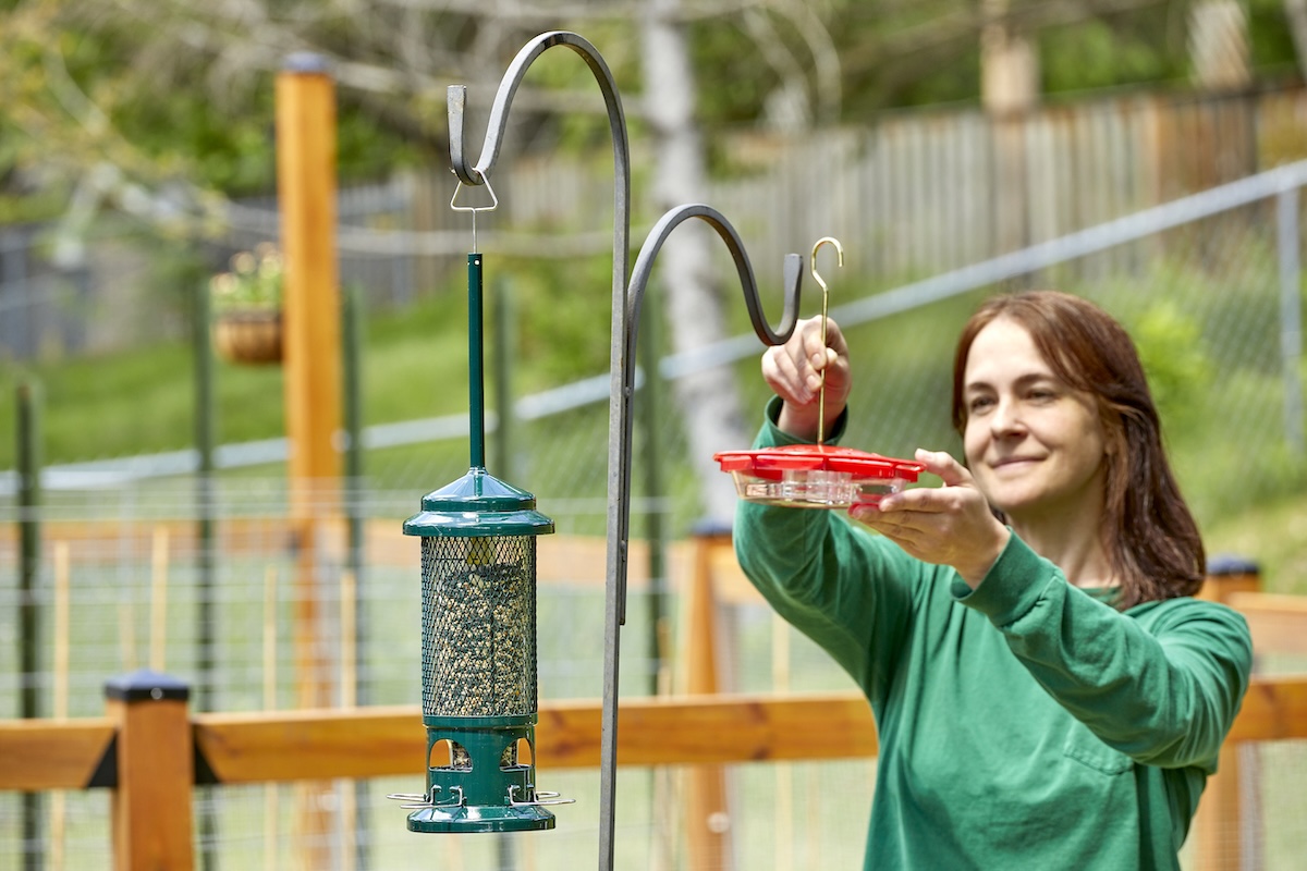 Woman in the yard hanging a seed feeder and hummingbird feeder from shepherd's hook.