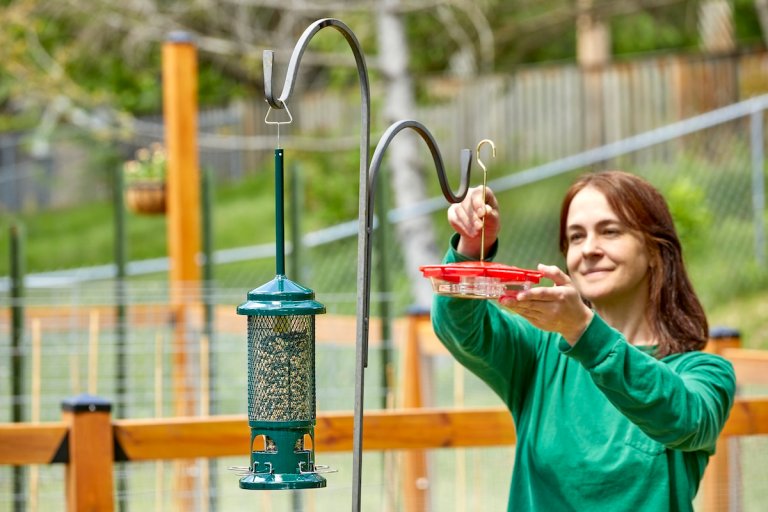 Woman in the yard hanging a seed feeder and hummingbird feeder from shepherd's hook.