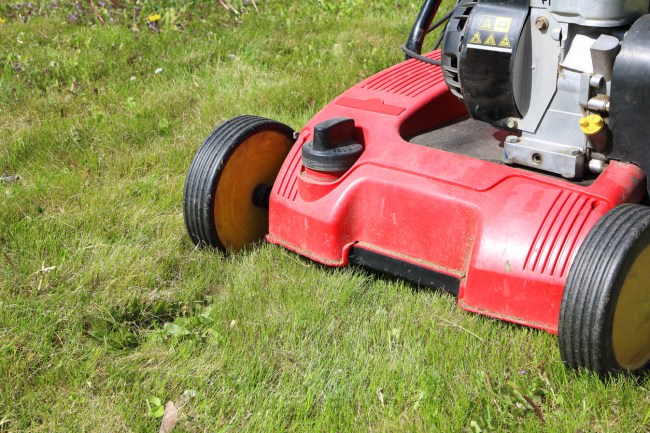A red dethatcher, or yard scarifier, in green grass.