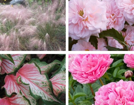 Monochromatic Gardens: The Best Flowers To Plant, Whatever Your Favorite Hue
