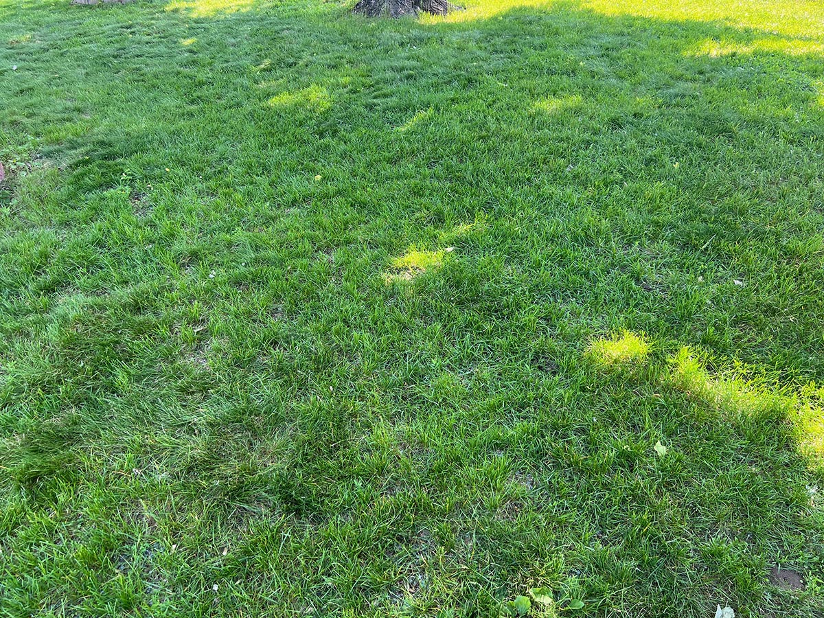 Late May View 3
