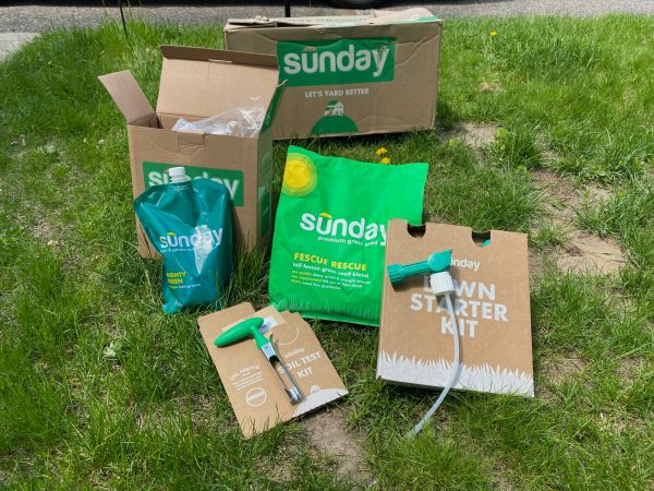 Sunday Is Giving Away Free Seeds—Find Out How To Get Yours And Get A Head Start On Spring Planting