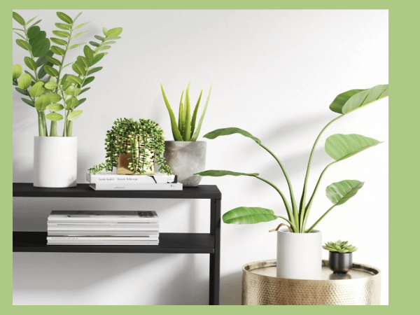 The 9 Best Places to Buy Fake Plants