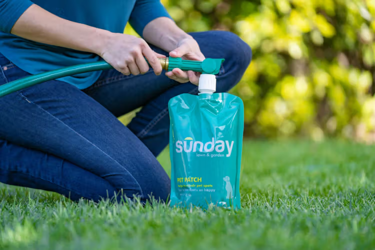 Person wearing jeans kneels in yard to attach Sunday treatment to garden hose.