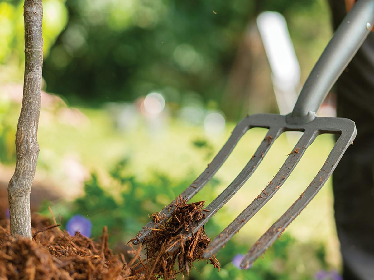 The Best Lawn Care Product Option Garden Fork