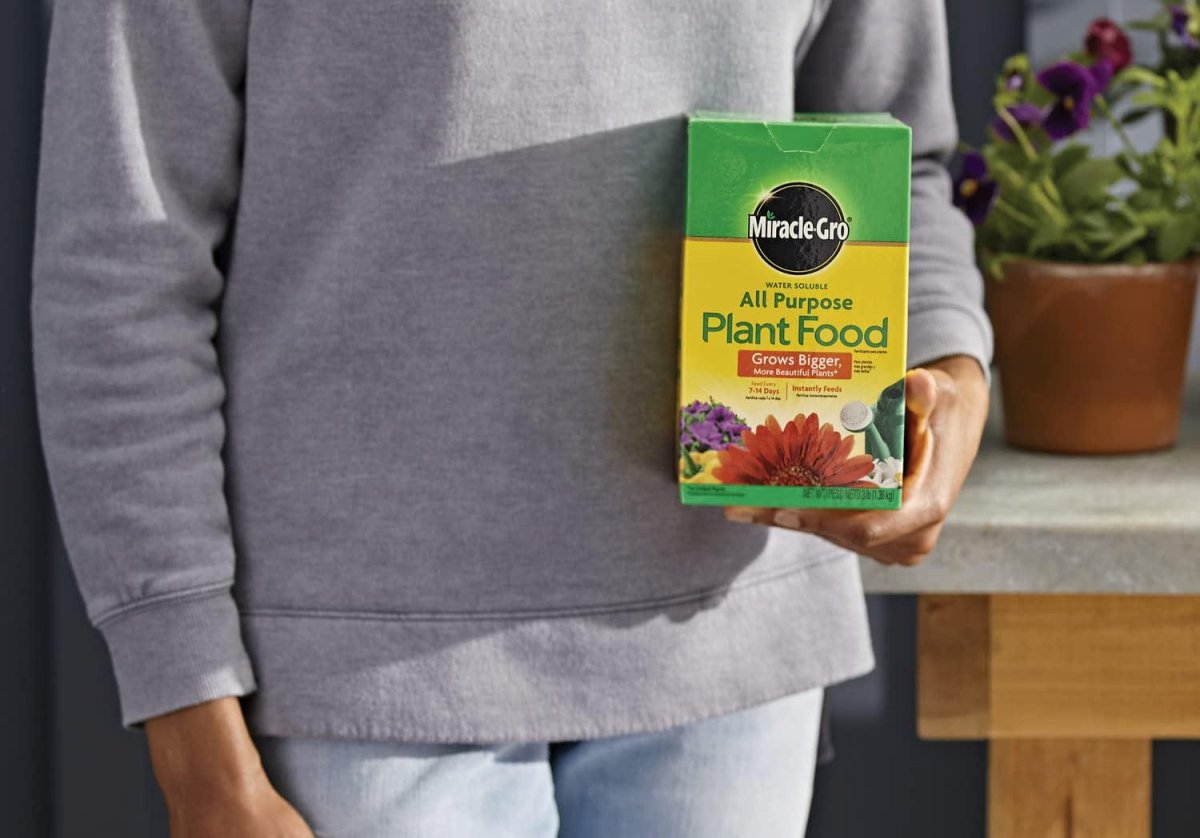 The Best Lawn Care Product Option Plant Food