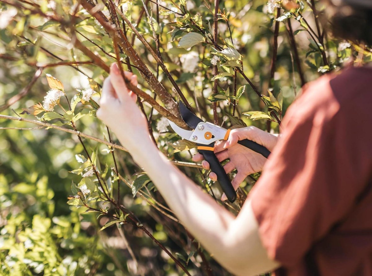 The Best Lawn Care Product Option Pruning Shears