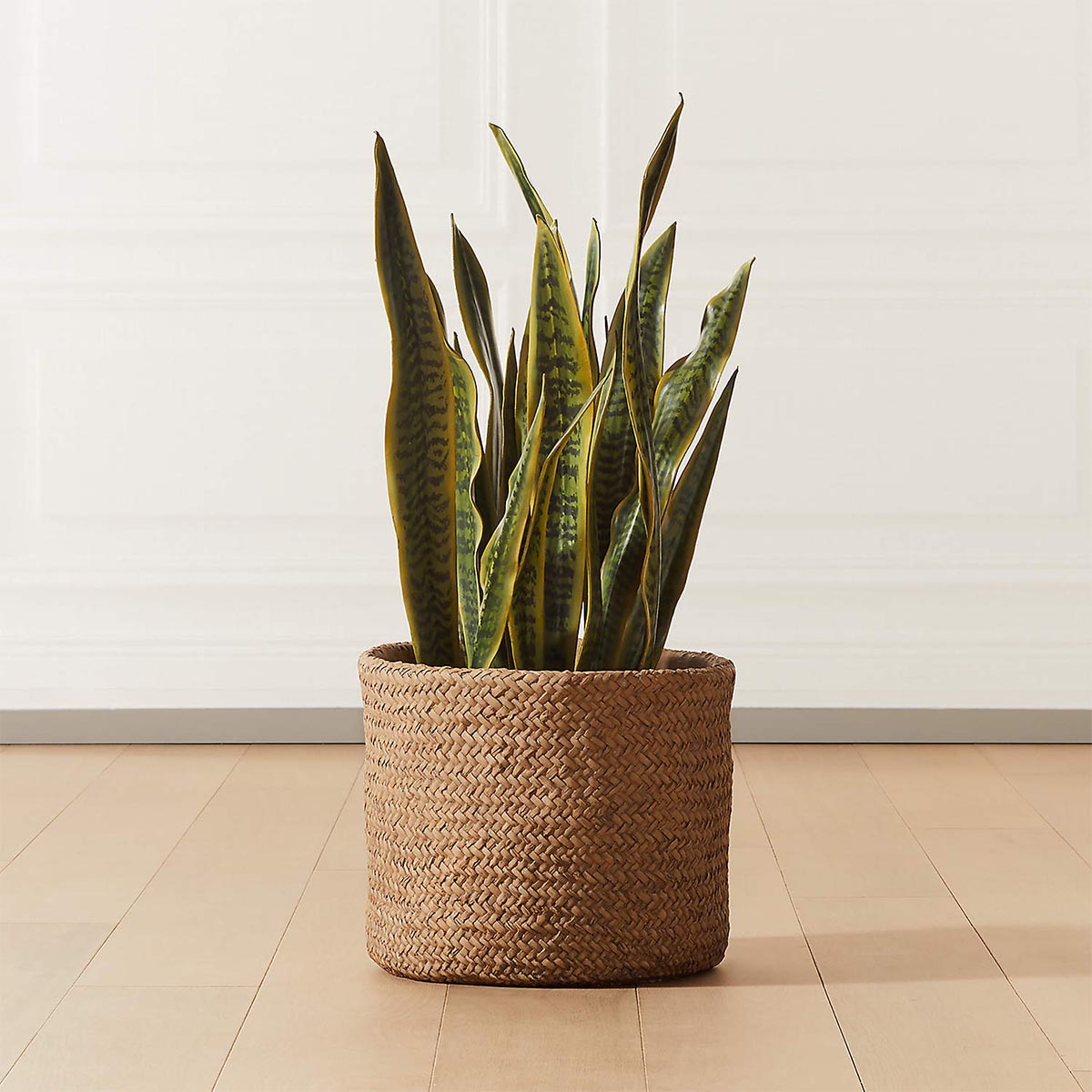 The Best Places to Buy Fake Plants Option CB2