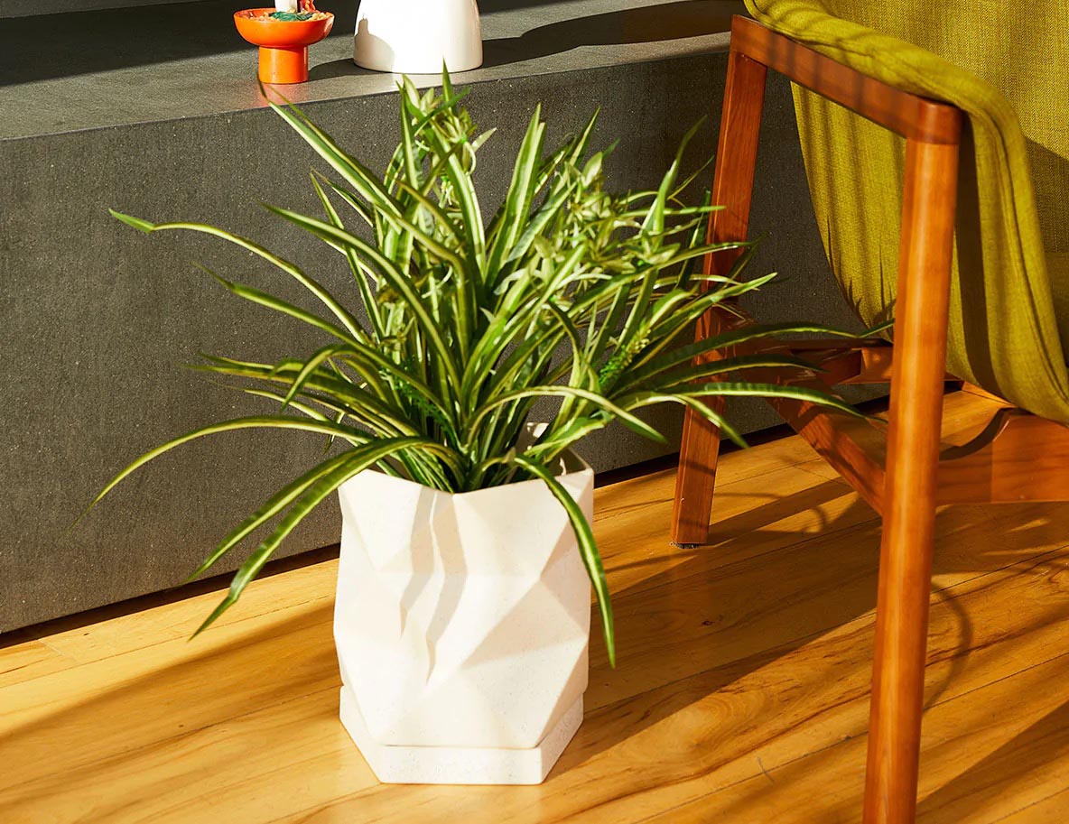 The Best Places to Buy Fake Plants Option The Sill