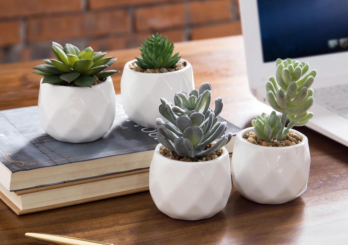 The Best Places to Buy Fake Plants Option Wayfair