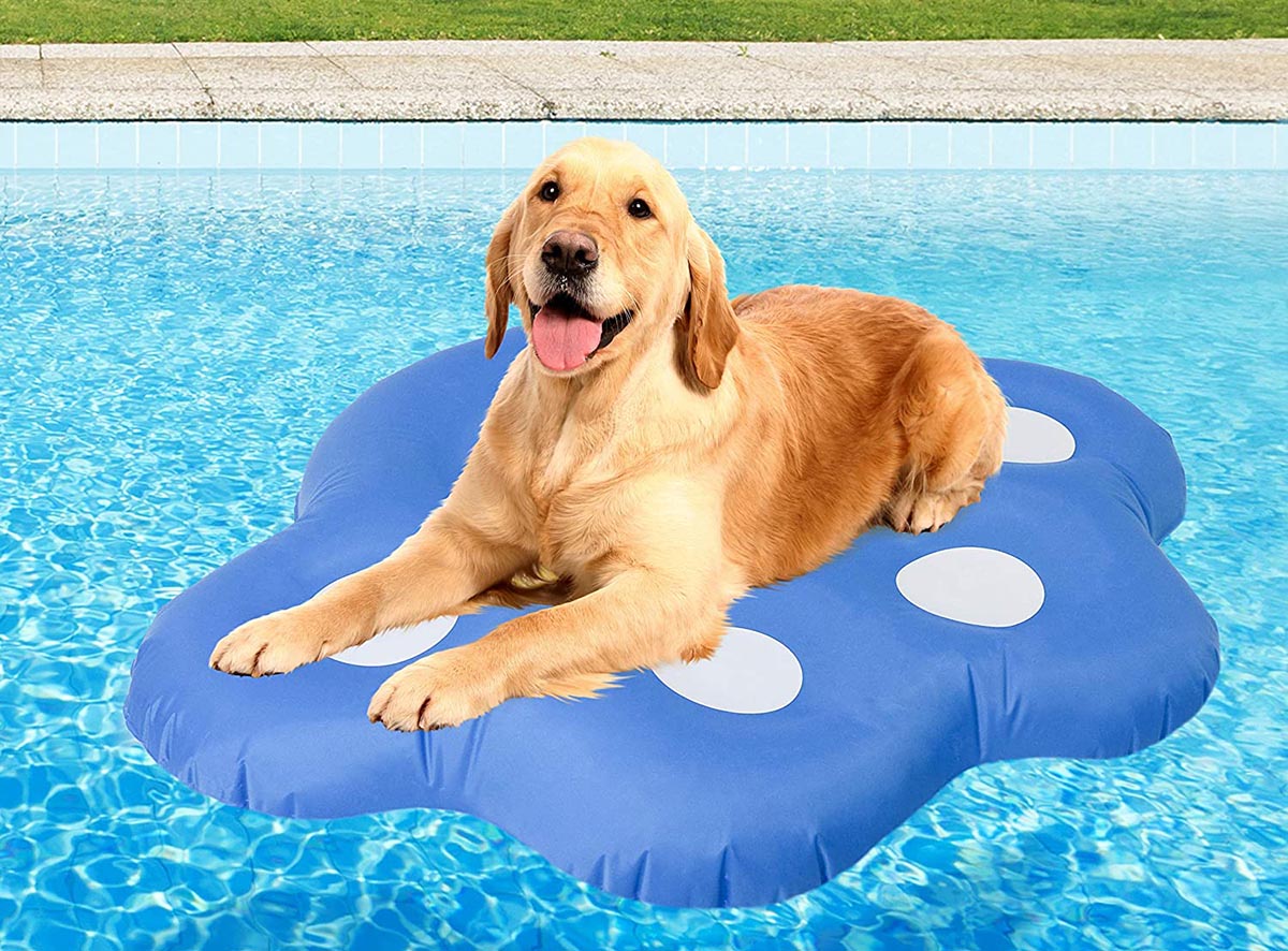 The Most Popular Pool Floats Option Dog Pool Float