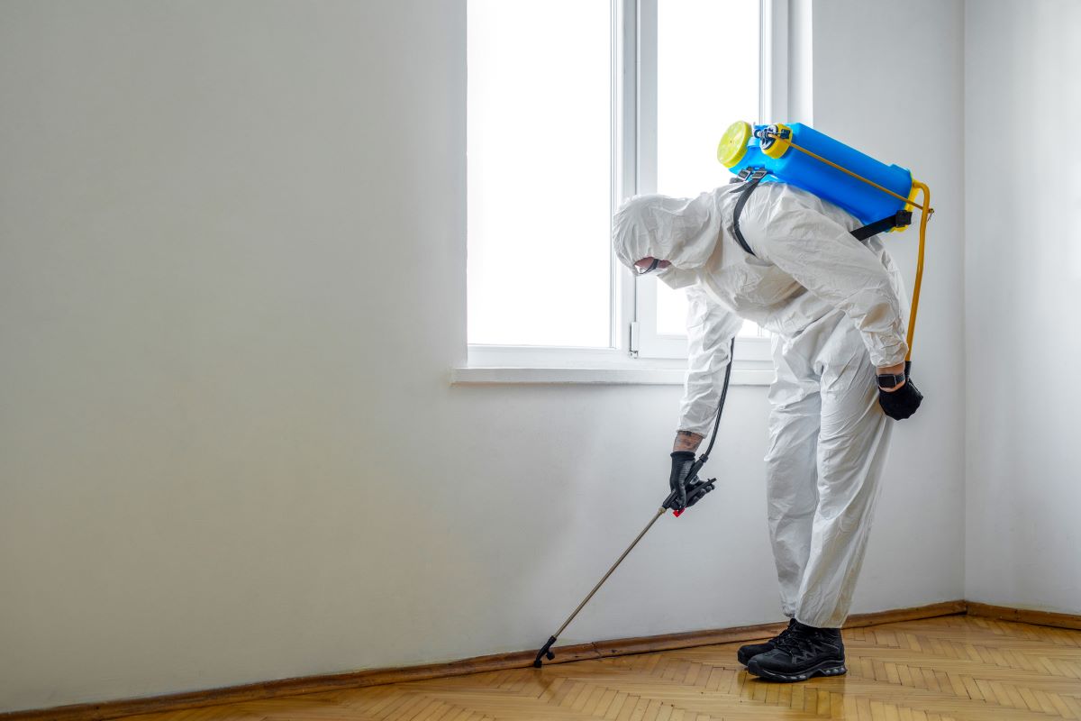 An exterminator sprays insecticide while wearing personal protective gear.