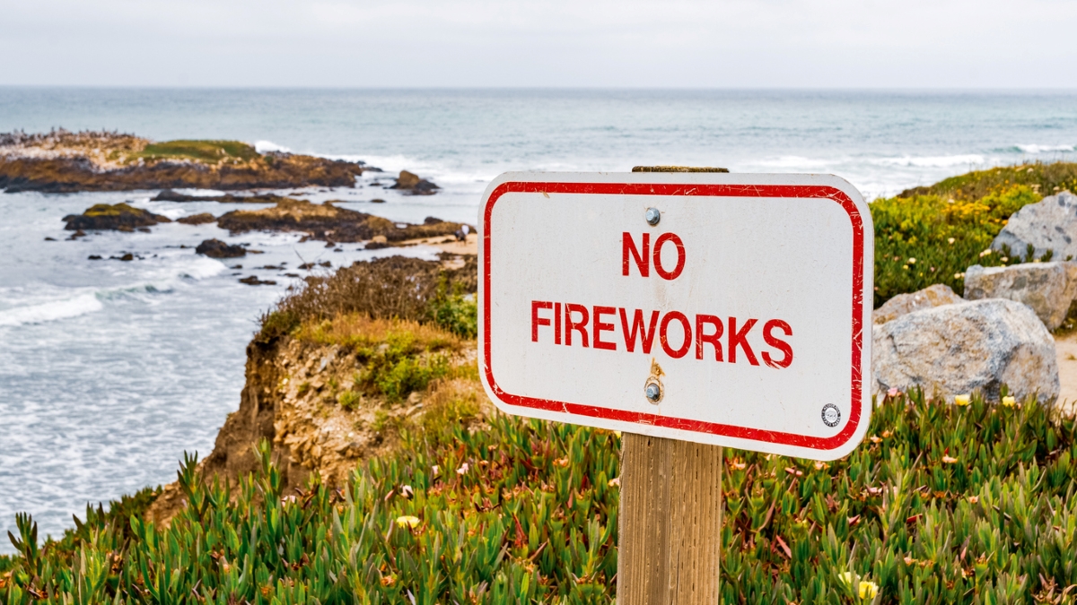 3 Reasons to Never Light Fireworks at Home