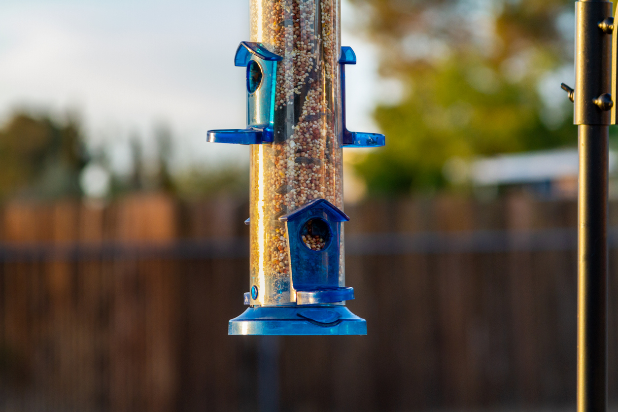 The Best Place to Hang Bird Feeders
