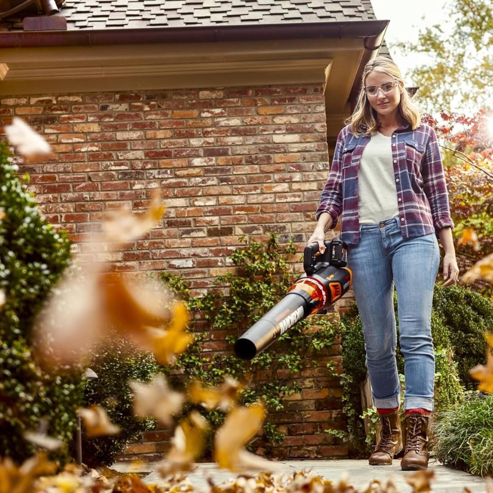 The Best Lawn Care Products Options: Handheld Leaf Blower