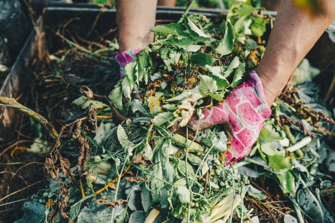 The Best Composting Services